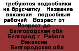 требуются подсобники на брусчатку › Название вакансии ­ подсобный рабочий › Возраст от ­ 19 › Возраст до ­ 60 - Белгородская обл., Белгород г. Работа » Вакансии   . Белгородская обл.